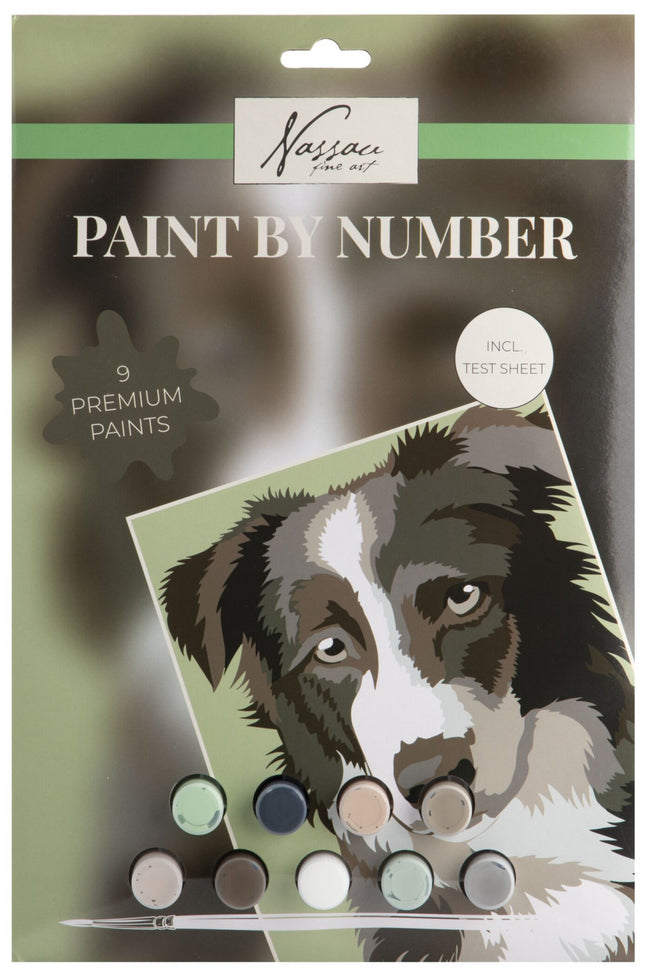 Kutyás Nassau számfestő készlet