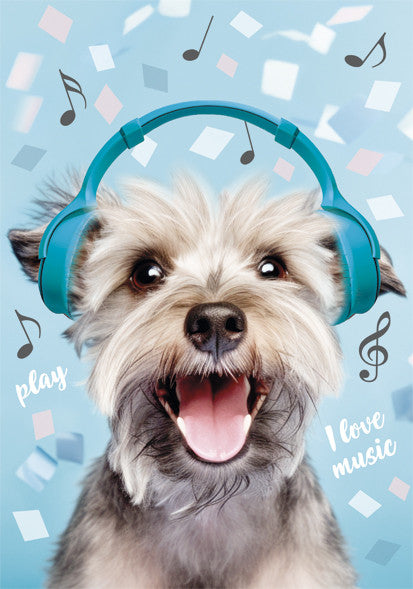 Kutyás Play Music A/4 gumis mappa