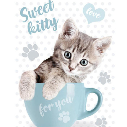 Cicás Sweet Kitty A/4 gumis mappa