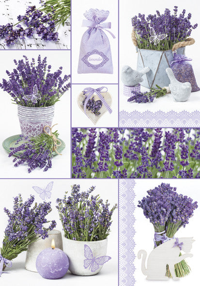 Levendula Moments A/4 gumis mappa