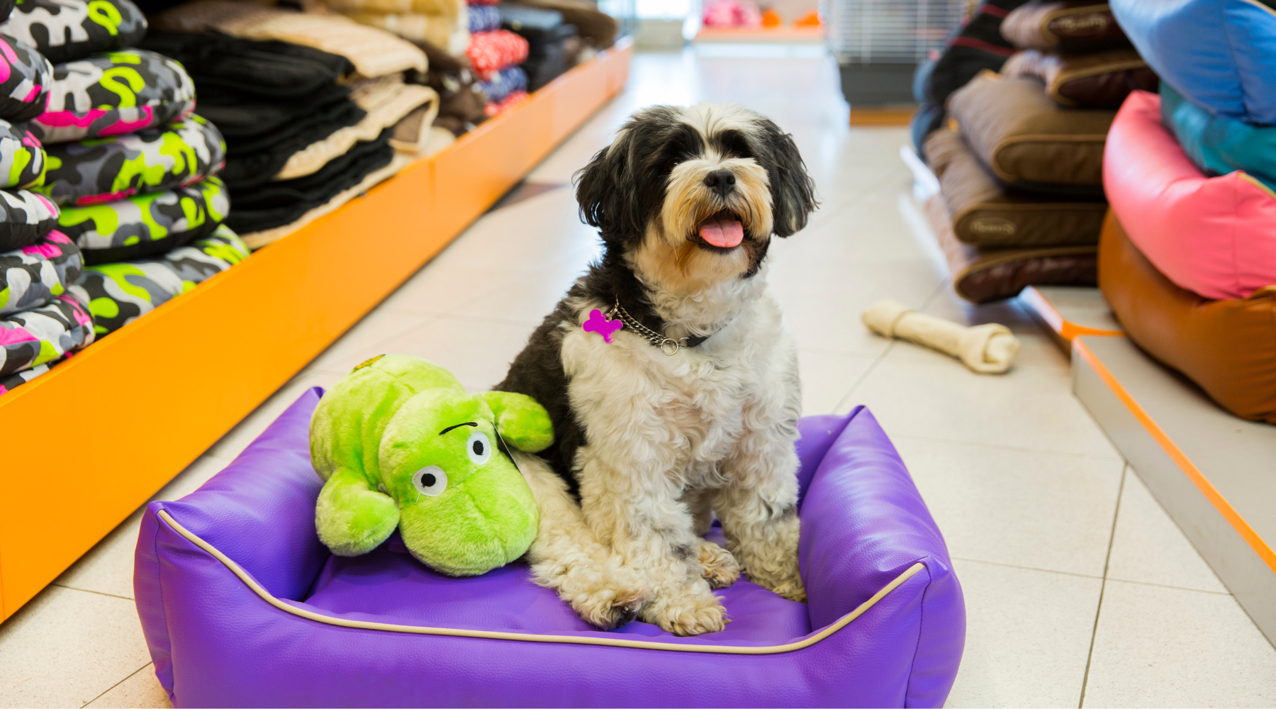 Disney-mintás kutyafekhely színes mintákkal