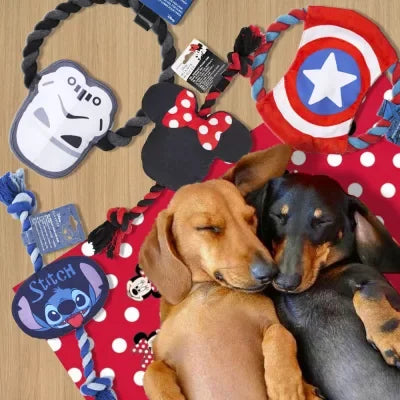 Disney mintás kutyajátékok színes, tartós anyagból, játék közben boldog kutyus a képen.