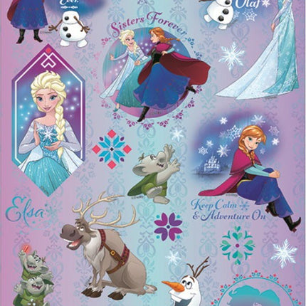 Disney Jégvarázs Mesmerizing Winter hologrammos matrica szett