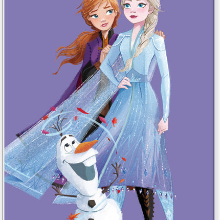 Disney Jégvarázs Purple polár takaró 100x140cm