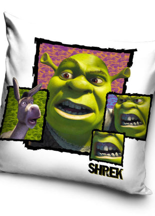 Shrek Fury párnahuzat 40x40 cm Velúr