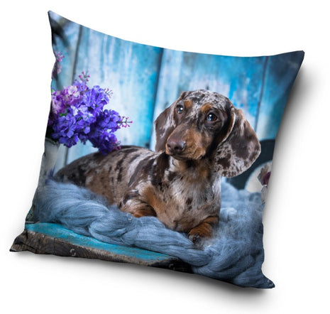 Kutyás Dachshund párnahuzat 40x40 cm