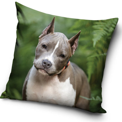 Kutyás Pit Bull Terrier párnahuzat 40x40 cm