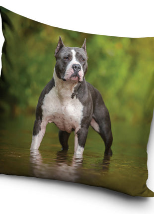 Kutyás Amstaff párnahuzat 40x40 cm