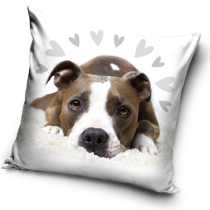 Kutyás Pit Bull Terrier Cute párnahuzat 40x40 cm
