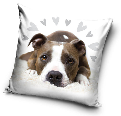 Kutyás Pit Bull Terrier Cute párnahuzat 40x40 cm