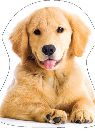 Kutyás Golden Retriver formapárna, díszpárna 35x35 cm