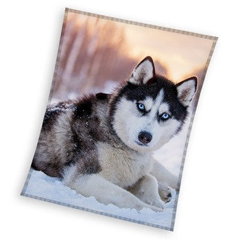 Kutyás Husky coral fleece polár takaró 150x200cm