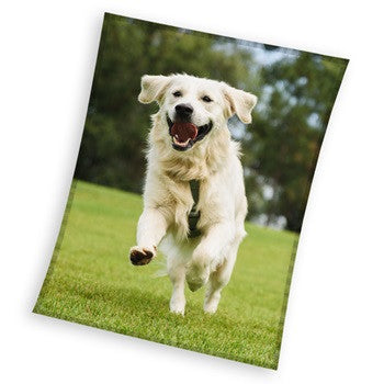 Kutyás Happytail Retriever coral fleece polár takaró 150x200cm