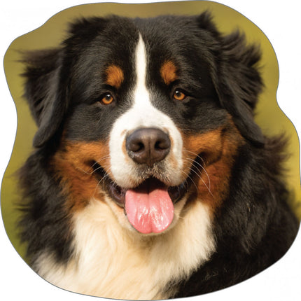 Kutyás Bernese formapárna, díszpárna 36x36 cm