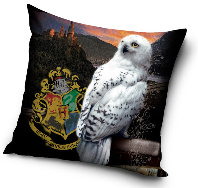 Harry Potter Hedvig párna, díszpárna 40x40 cm