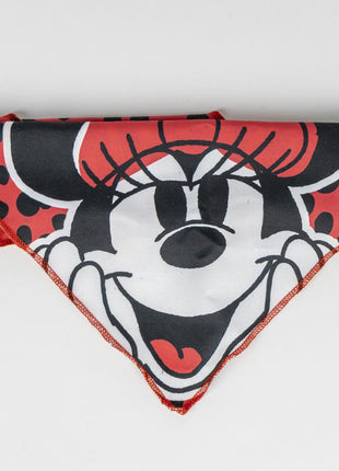 Disney Minnie Fun kisállat üdvözlő készlet