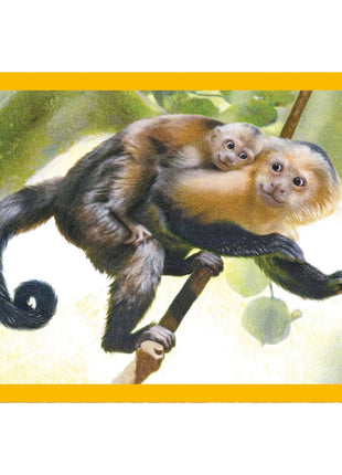 Állatos Baby Cuddles 4 az 1-ben puzzle Clementoni
