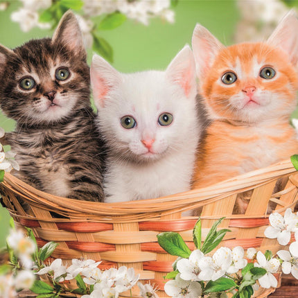 Állatos Brothers in Fur 2x60 db-os puzzle Clementoni