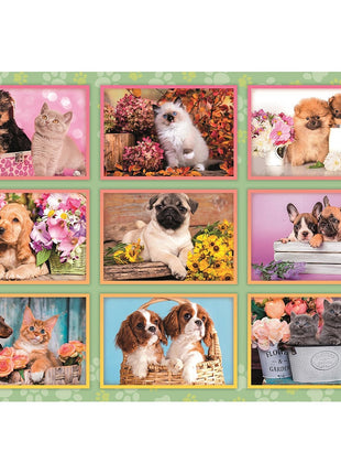 Állatos Puppies Collage 180 db-os puzzle Clementoni