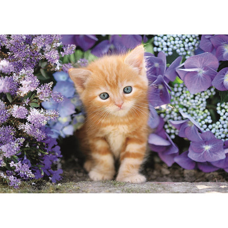 Cicás Ginger 500 db-os Compact puzzle Clementoni