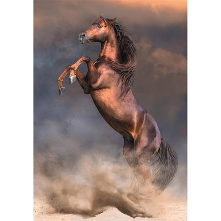 Lovas Wild Stallion 500 db-os Compact puzzle Clementoni