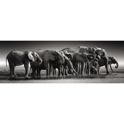Elefánt Herd of Giants 1000 db-os panorama Compact puzzle Clementoni