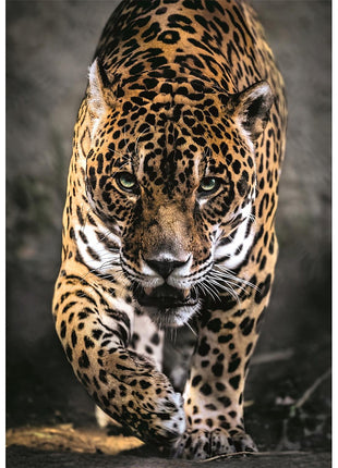Állatos Walk of the Jaguar 1000 db-os puzzle Clementoni