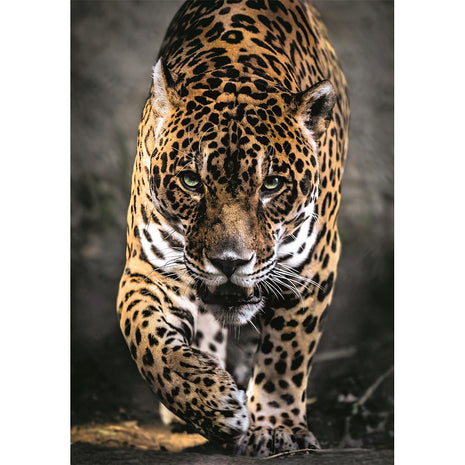 Állatos Walk of the Jaguar 1000 db-os puzzle Clementoni