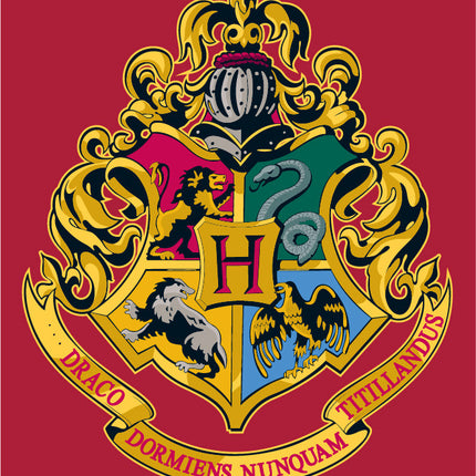 Harry Potter Red coral fleece, polár takaró 120x150cm