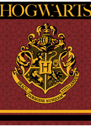 Harry Potter Crest coral fleece polár takaró 120x150cm