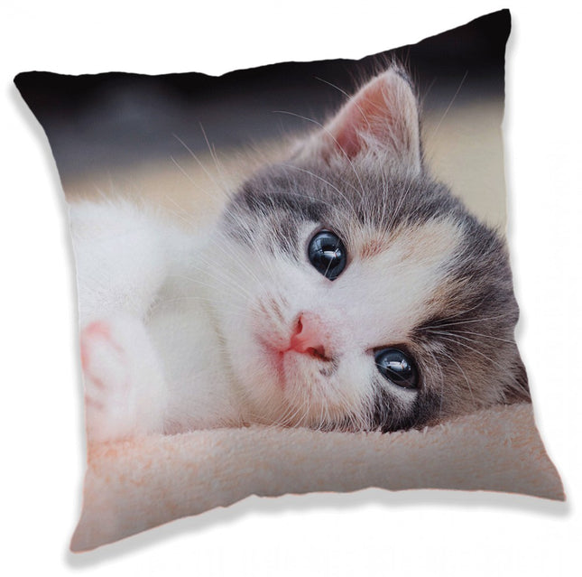 Cicás Kitten párna, díszpárna 40 x 40 cm