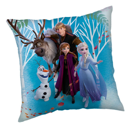Disney Jégvarázs Family párnahuzat 40x40 cm Velúr