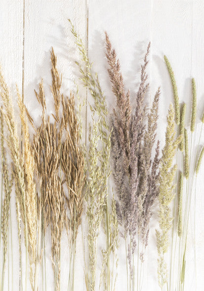 Természet Golden Harvest A/4 gumis mappa