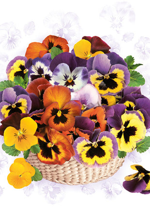 Árvácska Colourful szalvéta 20 db-os 33x33 cm