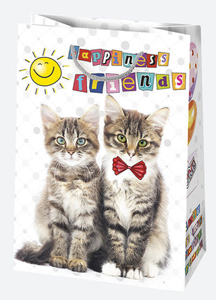 Happy Birthday Friends papír ajándéktasak, ajándékzacskó 23x32x11 cm