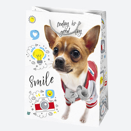 Happy Birthday Friends papír ajándéktasak, ajándékzacskó 23x32x11 cm