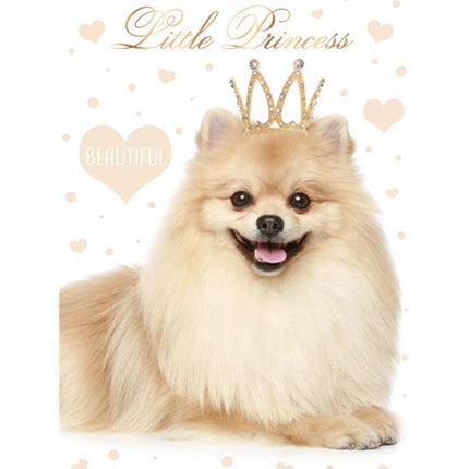 Kutyás Little Princess A/4 gumis mappa