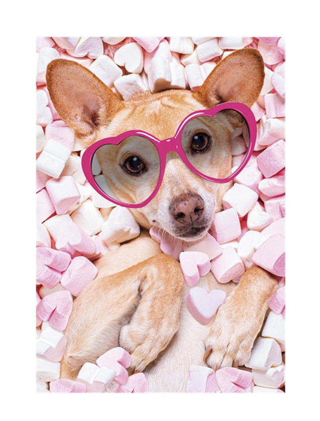 Kutyás Marshmallow A/4 gumis mappa