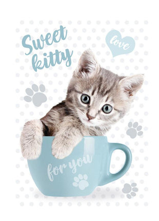 Cicás Sweet Kitty A/4 gumis mappa