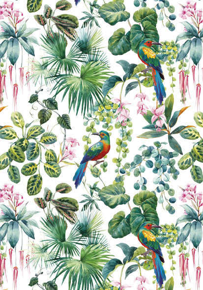 Természet Parrot A/4 gumis mappa