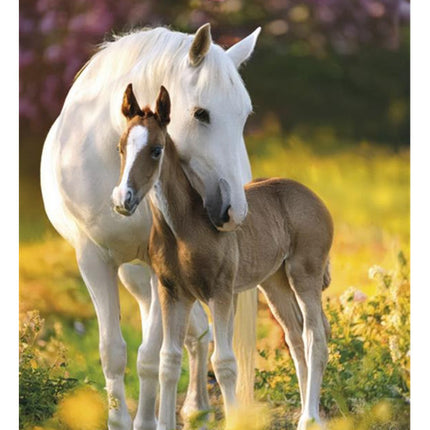 Lovas Spring Foal A/4 gumis mappa